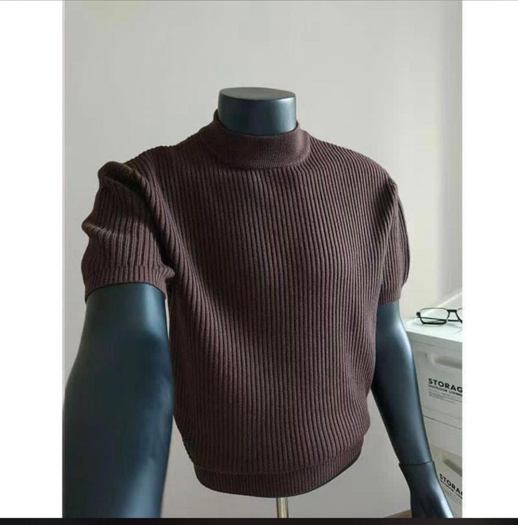 Brown ribbed knit mock neck short sleeve top on mannequin.