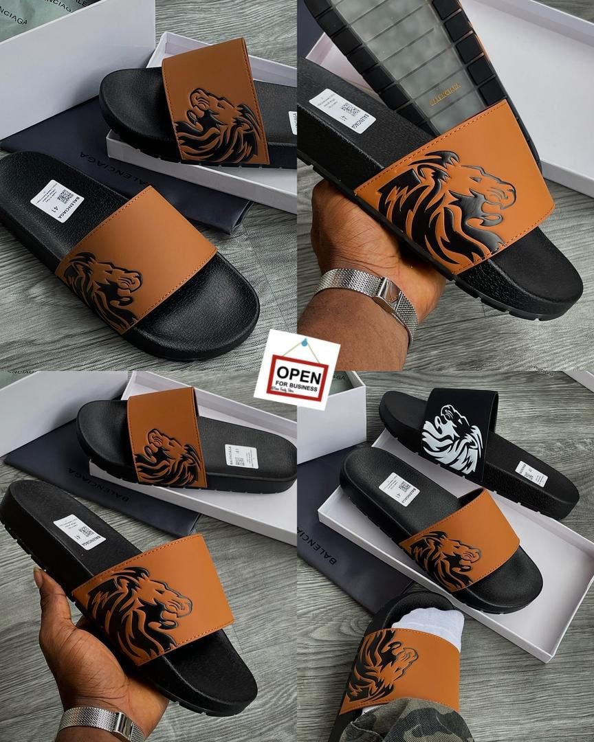 Multiple views of brown and black lion graphic slides with boxes and authenticity cards.