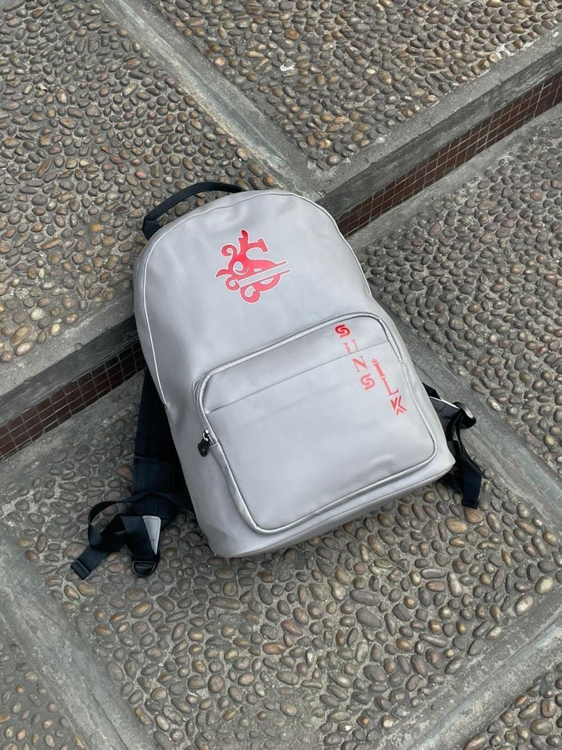 Light gray backpack with red logo and vertical SINSILK text on stone steps.