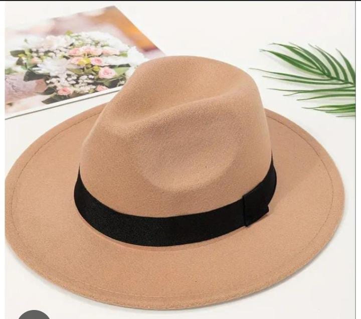 Beige felt fedora hat with black band on white background.